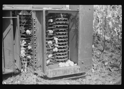 International cotton picker on Hopson Plantation, Clarksdale, Mississippi Delta, Mississippi
