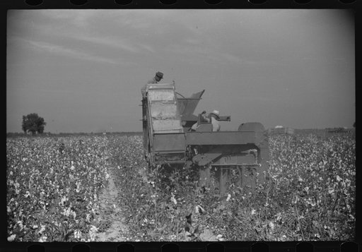 Untitled photo, possibly related to: Rust cotton picker, Mileston Plantation, Mississippi Delta, Mississippi