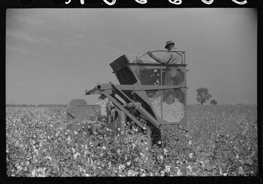 Untitled photo, possibly related to: International cotton picker, Mileston Plantation, Mississippi Delta, Mississippi