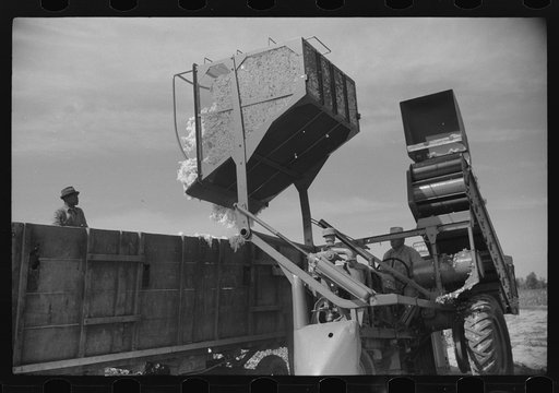 International cotton picker on Hopson Plantation, Clarksdale, Mississippi Delta, Mississippi