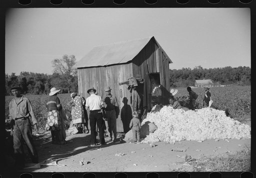 Untitled photo, possibly related to: Day laborers by cotton house after picking cotton on Marcella Plantation, Mileston, Mississippi Delta, Mississippi