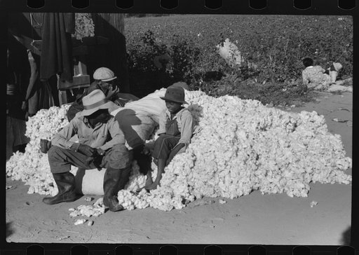 Untitled photo, possibly related to: Day laborers carrying sack of cotton from field to cotton house to be weighed, Marcella Plantation, Mississippi Delta, Mississippi