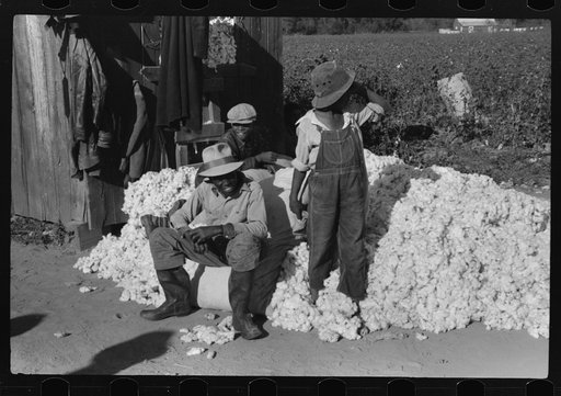 Untitled photo, possibly related to: Day laborers carrying sack of cotton from field to cotton house to be weighed, Marcella Plantation, Mississippi Delta, Mississippi