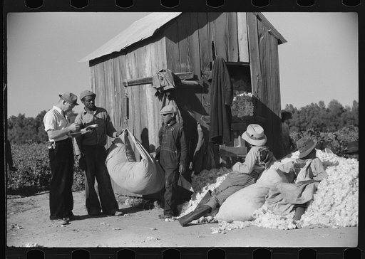 Day laborers carrying sack of cotton from field to cotton house to be weighed, Marcella Plantation, Mississippi Delta, Mississippi