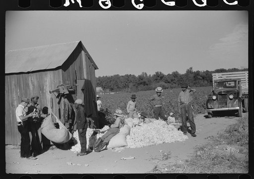 Untitled photo, possibly related to: Day laborers carrying sack of cotton from field to cotton house to be weighed, Marcella Plantation, Mississippi Delta, Mississippi