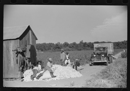 Untitled photo, possibly related to: Day laborers carrying sack of cotton from field to cotton house to be weighed, Marcella Plantation, Mississippi Delta, Mississippi