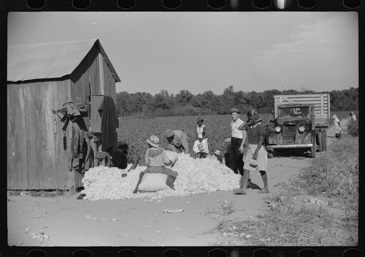 Untitled photo, possibly related to: Day laborers carrying sack of cotton from field to cotton house to be weighed, Marcella Plantation, Mississippi Delta, Mississippi