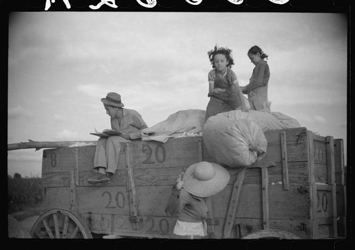 Untitled photo, possibly related to: Mexican laborers on wagonload of cotton in field on Knowlton Plantation, Perthshire, Mississippi Delta, Mississippi