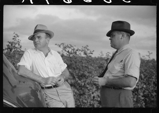 Mr. Sam Knowlton and one of his assistants, talking together in cotton field on Knowlton Plantation, Perthshire, Mississippi Delta, Mississippi