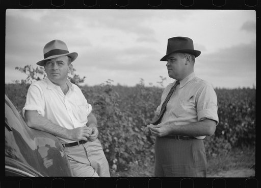 Untitled photo, possibly related to: Mr. Sam Knowlton and one of his assistants, talking together in cotton field on Knowlton Plantation, Perthshire, Mississippi Delta, Mississippi