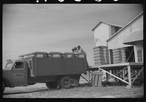 Untitled photo, possibly related to: Hopson Planting Company, Clarksdale, Mississippi Delta, Mississippi