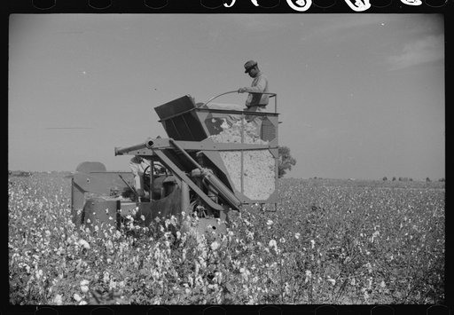 Untitled photo, possibly related to: International cotton picker on Hopson Plantation, Clarksdale, Mississippi Delta, Mississippi