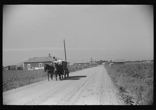 Untitled photo, possibly related to: Wagonload of cotton on way to gin, Marcella Plantation Mileston, Mississippi Delta, Mississippi