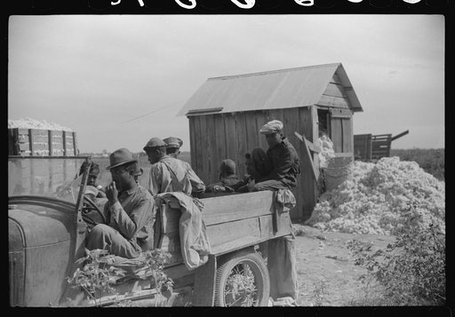 Untitled photo, possibly related to: Day laborers come in cars and trucks to pick cotton on Marcella Plantation, Mileston, Mississippi Delta, Mississippi