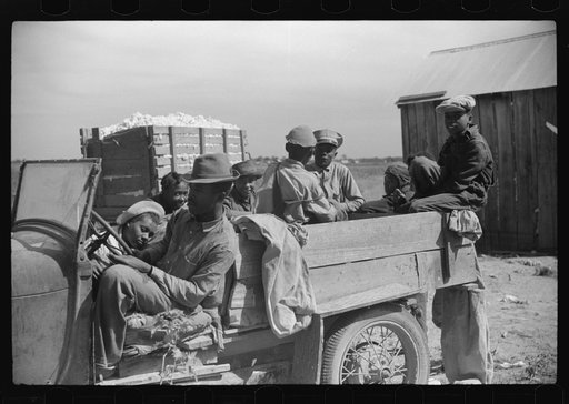 Untitled photo, possibly related to: Day laborers come in cars and trucks to pick cotton on Marcella Plantation, Mileston, Mississippi Delta, Mississippi
