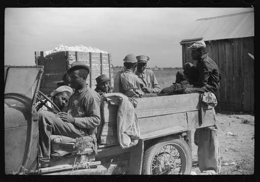 Day laborers come in cars and trucks to pick cotton on Marcella Plantation, Mileston, Mississippi Delta, Mississippi