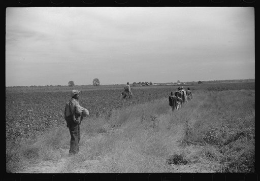Untitled photo, possibly related to: Day laborers coming out of cotton field, Mileston Plantation, Mileston, Mississippi Delta. Mississippi