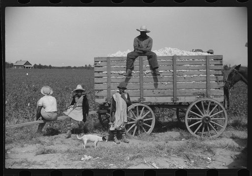 Cotton pickers waiting to have their cotton checked, Marcella Plantation, Mississippi Delta, Mississippi