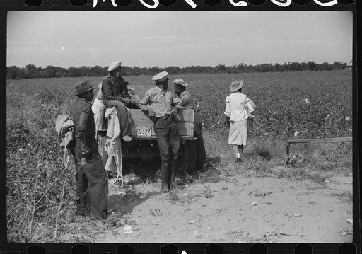 Untitled photo, possibly related to: Day laborers come in cars and trucks to pick cotton on Marcella Plantation, Mileston, Mississippi Delta, Mississippi