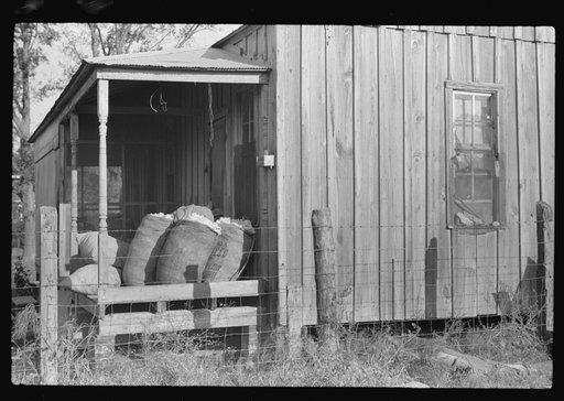 Sacks of cotton on wagehand's porch. Knowlton Plantation, Perthshire, Mississippi Delta, Mississippi