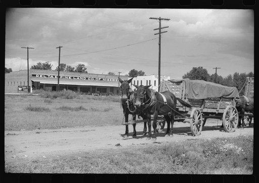 Untitled photo, possibly related to: Company stores and offices and clinic of Delta Pine Company cotton plantation, Scott, Mississippi Delta, Mississippi