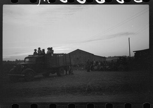 Untitled photo, possibly related to: Negroes brought in by truck from nearby towns as day labor for cotton picking. Marcella Plantation, Mileston, Mississippi Delta, Mississippi