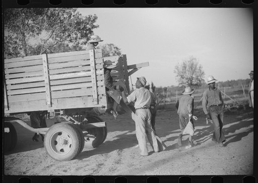 Untitled photo, possibly related to: Negroes brought in by truck from nearby towns as day labor for cotton picking. Marcella Plantation, Mileston, Mississippi Delta, Mississippi