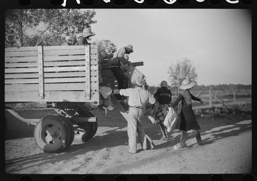 Untitled photo, possibly related to: Negroes brought in by truck from nearby towns as day labor for cotton picking. Marcella Plantation, Mileston, Mississippi Delta, Mississippi