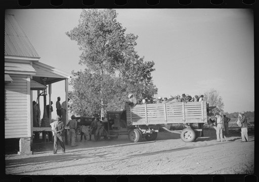 Untitled photo, possibly related to: Negroes brought in by truck from nearby towns as day labor for cotton picking. Marcella Plantation, Mileston, Mississippi Delta, Mississippi