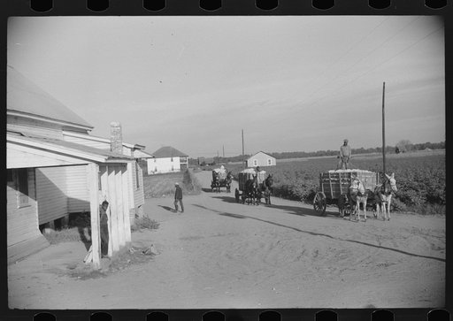 Untitled photo, possibly related to: Wagonloads of cotton going into plantation barn in evening, Marcella, Plantation, Mississippi Delta Mississippi