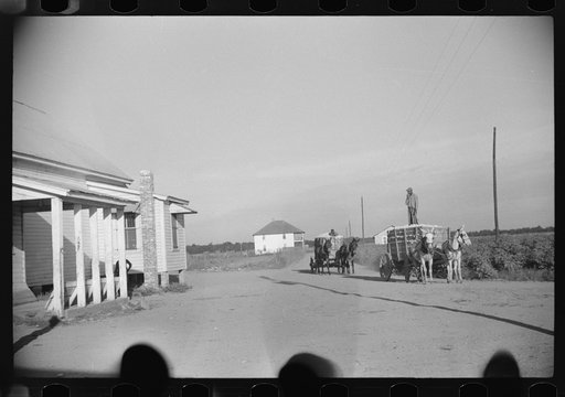 Untitled photo, possibly related to: Wagonloads of cotton going into plantation barn in evening, Marcella, Plantation, Mississippi Delta Mississippi