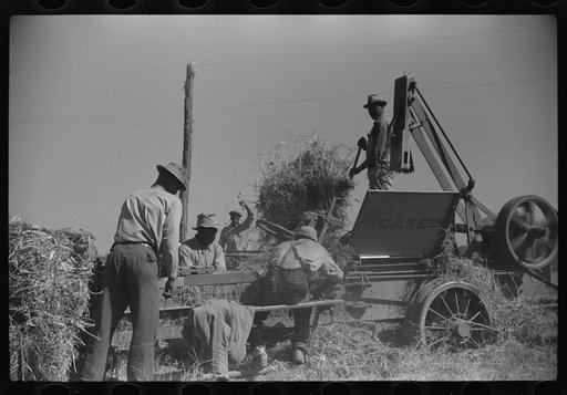 Untitled photo, possibly related to: Baling hay on Marcella Plantation, Mileston, Mississippi Delta, Mississippi