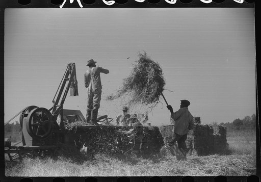 Untitled photo, possibly related to: Baling hay on Marcella Plantation, Mileston, Mississippi Delta, Mississippi