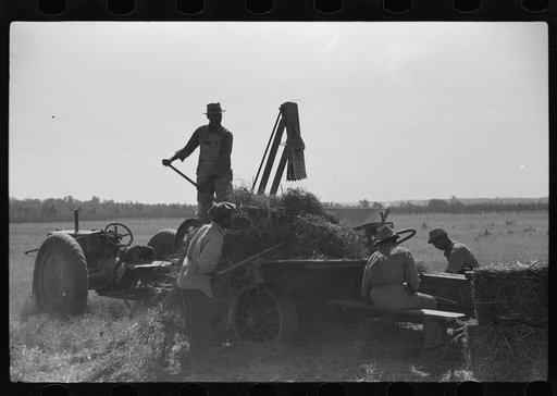 Untitled photo, possibly related to: Baling hay on Marcella Plantation, Mileston, Mississippi Delta, Mississippi