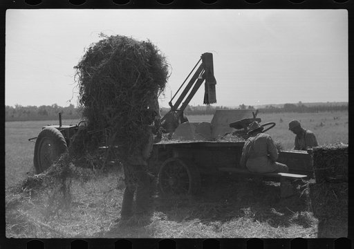 Untitled photo, possibly related to: Baling hay on Marcella Plantation, Mileston, Mississippi Delta, Mississippi