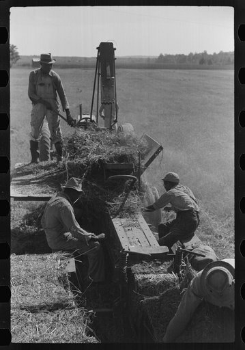 Untitled photo, possibly related to: Baling hay on Marcella Plantation, Mileston, Mississippi Delta, Mississippi