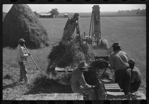 Baling hay on Marcella Plantation, Mileston, Mississippi Delta, Mississippi