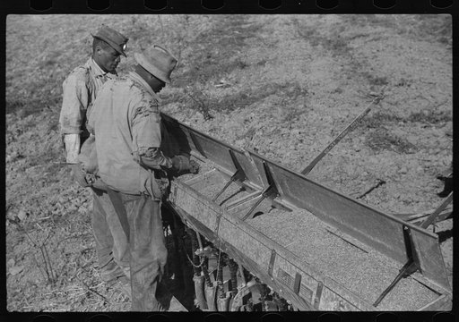 Untitled photo, possibly related to: Baling hay on Marcella Plantation, Mileston, Mississippi Delta, Mississippi