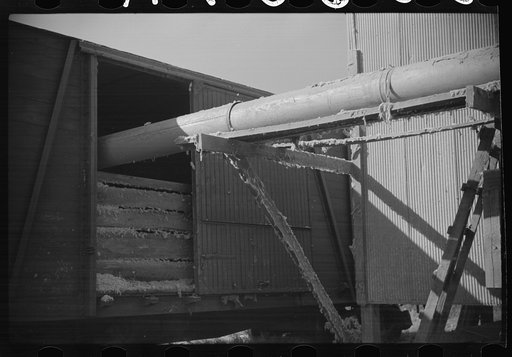 Blowing cotton seed from gin into freight cars for shipment to cotton seed oil plant, Mileston, Mississippi Delta, Mississippi