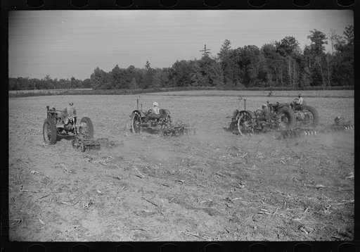 Untitled photo, possibly related to: Planting oats on plantation after cotton harvest is over,  Mileston, Mississippi Delta, Mississippi