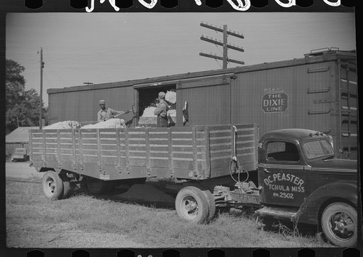 Untitled photo, possibly related to: Cotton seed from the gin being transferred from truck to freight cars for shipment to cotton seed oil plants, Mileston, Mississippi Delta, Mississippi