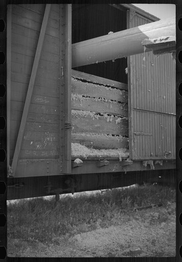 Untitled photo, possibly related to: Blowing cotton seed from gin into freight cars for shipment to cotton seed oil plant, Mileston, Mississippi Delta, Mississippi