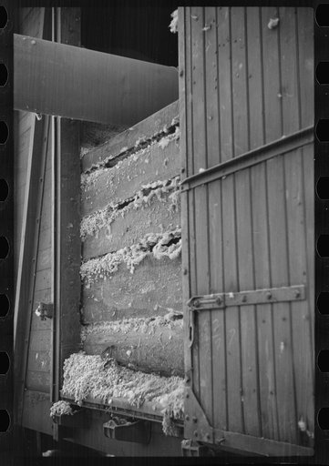 Blowing cotton seed from gin into freight cars for shipment to cotton seed oil plant, Mileston, Mississippi Delta, Mississippi