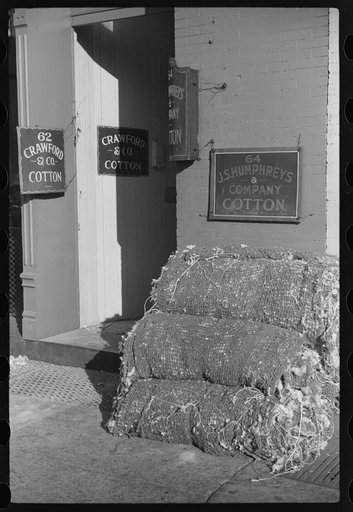 Untitled photo, possibly related to: Cotton "snakes," waste cotton picked from floors of sampling and classing rooms in brokers' offices on Cotton Row, Front Street, Memphis, Tennessee