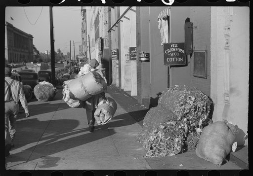 Cotton "snake," waste cotton on sidewalk and cotton samples being carried to sampling and classing rooms in broker's office on Cotton Row, Front Street, Memphis, Tennessee