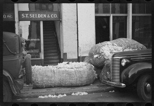 Untitled photo, possibly related to: Cotton "snake," waste cotton on sidewalk, and cotton samples being carried to sampling and classing rooms in broker's office on Cotton Row, Front Street, Memphis, Tennessee