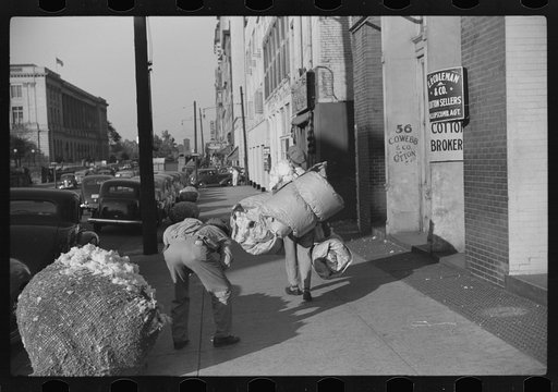 Untitled photo, possibly related to: Cotton "snake," waste cotton on sidewalk, and cotton samples being carried to sampling and classing rooms in broker's office on Cotton Row, Front Street, Memphis, Tennessee