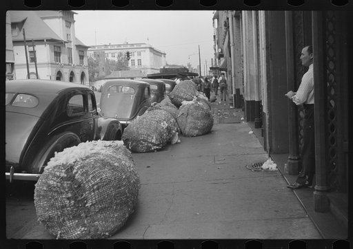 Untitled photo, possibly related to: Cotton "snake," waste cotton on sidewalk, and cotton samples being carried to sampling and classing rooms in broker's office on Cotton Row, Front Street, Memphis, Tennessee