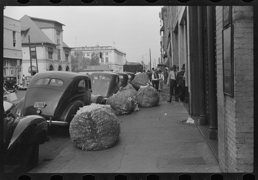Untitled photo, possibly related to: Cotton "snake," waste cotton on sidewalk, and cotton samples being carried to sampling and classing rooms in broker's office on Cotton Row, Front Street, Memphis, Tennessee