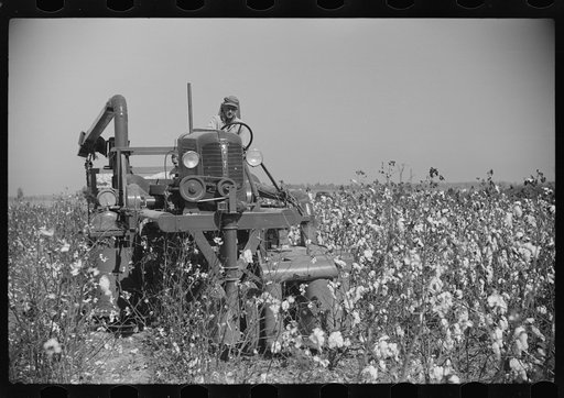 Rust cotton picker in field on Cloverdale Plantation, Clarksdale, Mississippi Delta, Mississippi